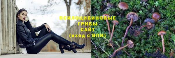 стафф Богородск