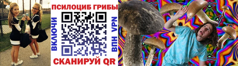 Купить закладки  Малоархангельск  Галлюциногенные грибы прущие грибы 